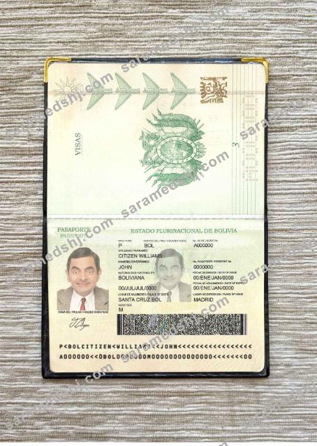 Bolivia passport photo look